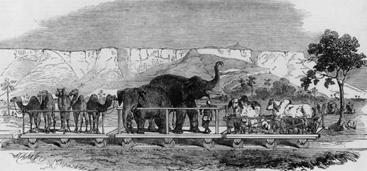 A fanciful view of an Indian railway, published in the Illustrated London News in 1851